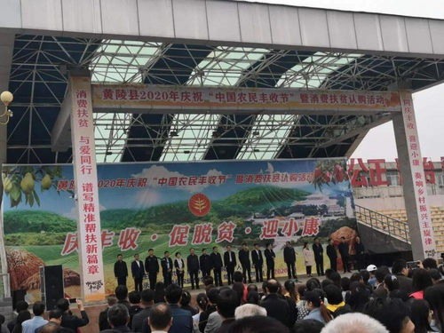 促增收，助脱贫——双龙镇参加全县消费扶贫产品展销会，开展经营助力打赢脱贫攻坚战